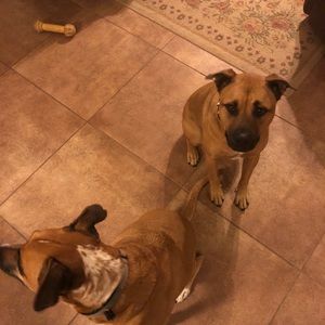 Meet your Posher, Jesse